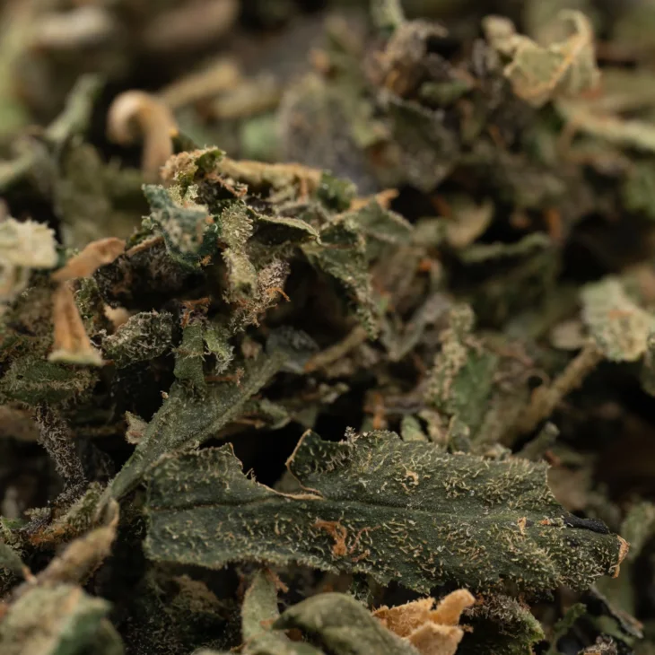 Cherry Vanilla Cookie THCa Indoor Trim - Image 4