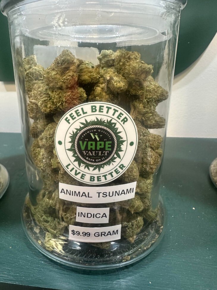 Animal Tsunami Flower Indica
