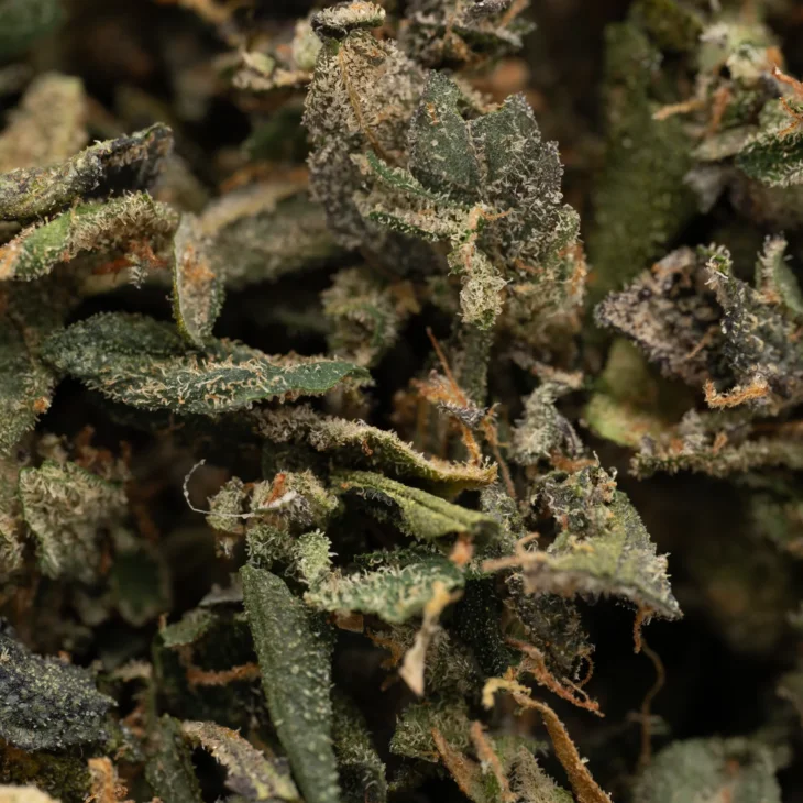 Peach Pie THCA Trim - Image 2