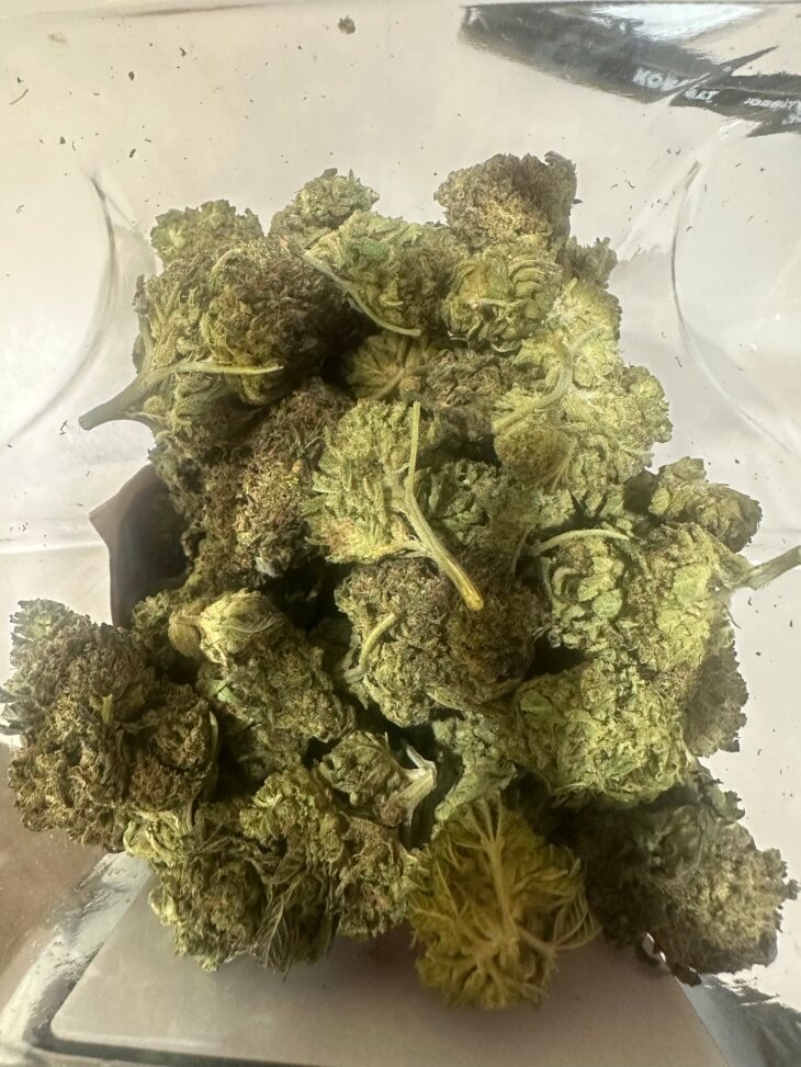 ALPINES JOKERS THCA FLOWER INDICA